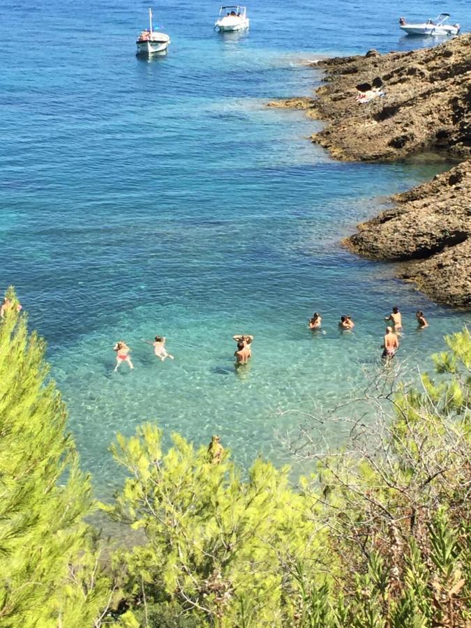 Studio Rocher Bleu Pres Des Plages - Soleil Levant La Ciotat Buitenkant foto